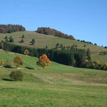 Cozy Holiday Apartment In The Black Forest Dachsberg im Schwarzwald Exterior foto