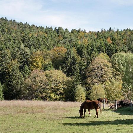 Cozy Holiday Apartment In The Black Forest Dachsberg im Schwarzwald Exterior foto