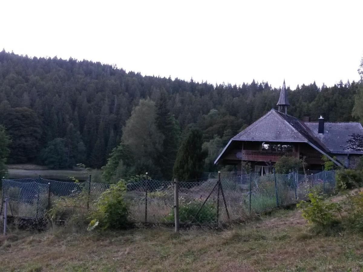 Cozy Holiday Apartment In The Black Forest Dachsberg im Schwarzwald Exterior foto