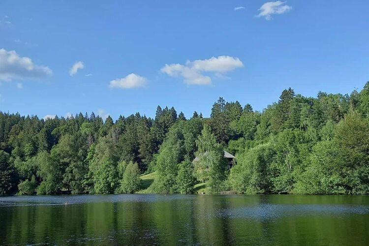 Cozy Holiday Apartment In The Black Forest Dachsberg im Schwarzwald Exterior foto